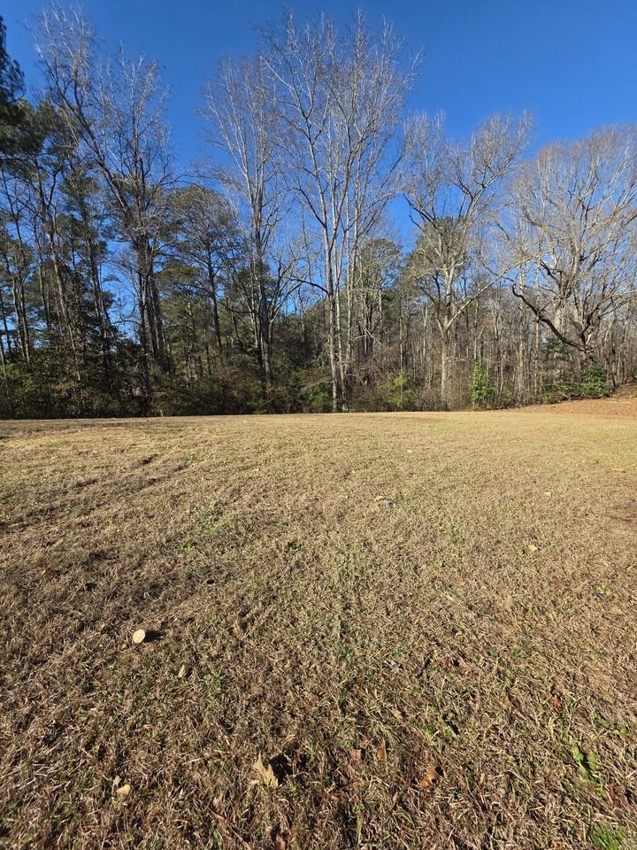 353 W Mcintosh Cir - Photo 7 of 19