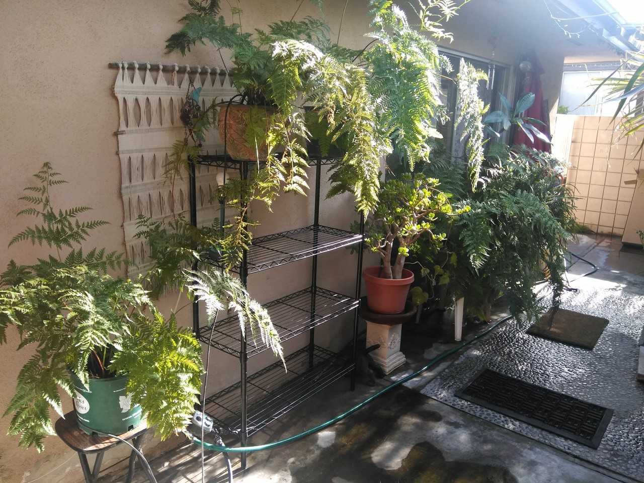 999 E Valley Blvd #111 - Photo 3 of 14