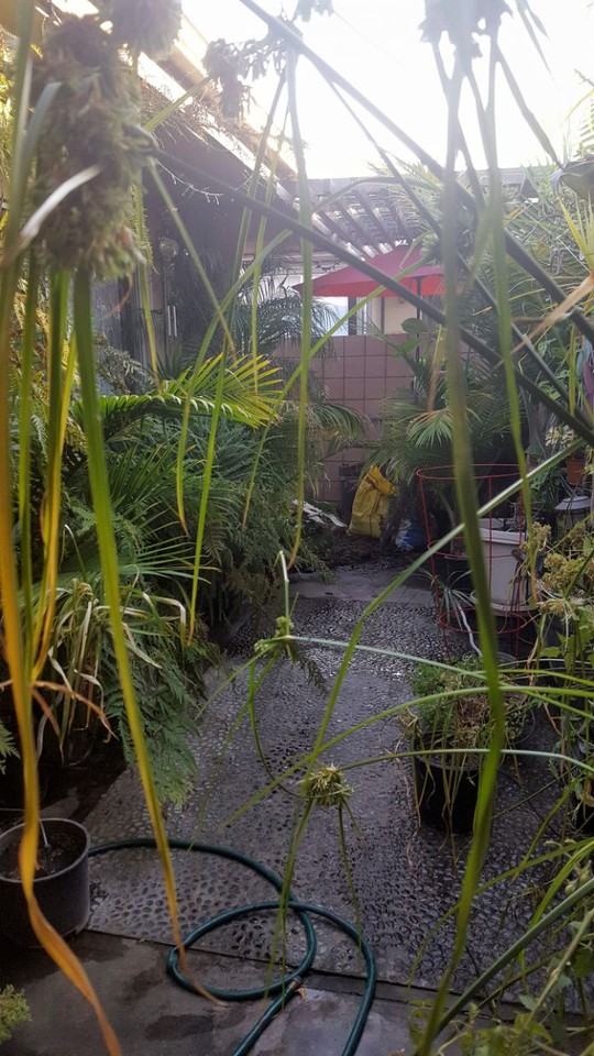 999 E Valley Blvd #111 - Photo 5 of 14