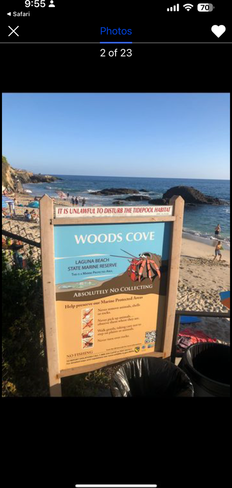 2009 Glenneyre St Unit B #NA - Photo 5 of 17