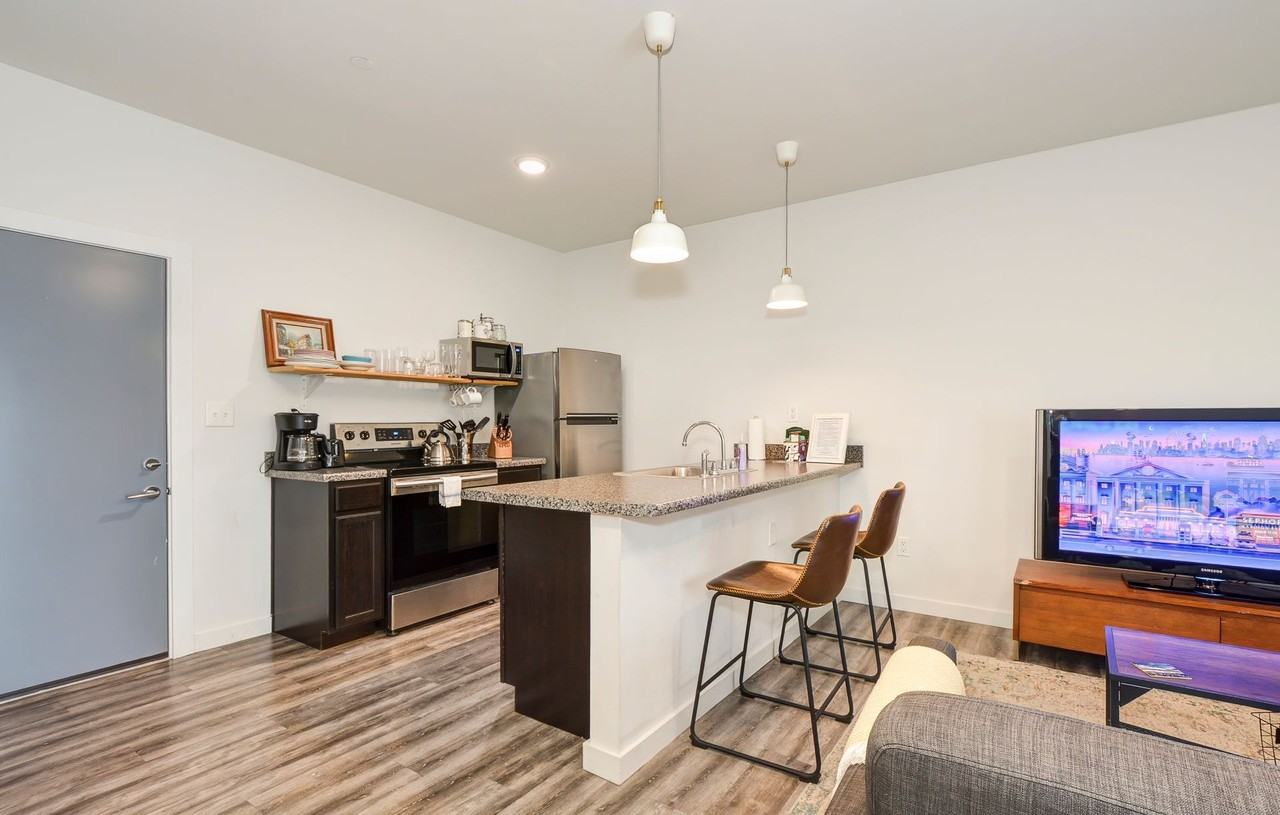 ZAZU - Photo 2 of 50