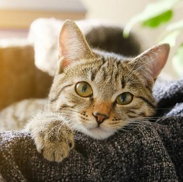 Realty & Mortgage Co. 4 of 4