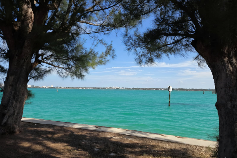 3217 Higel Ave - Photo 5 of 22