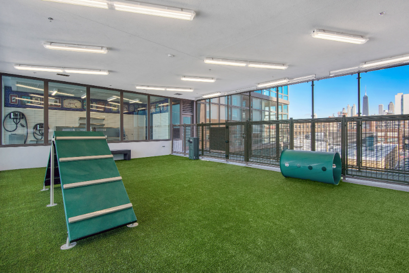 730 N Morgan St - Photo 5 of 15