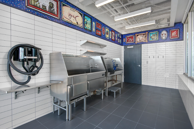 730 N Morgan St - Photo 6 of 15