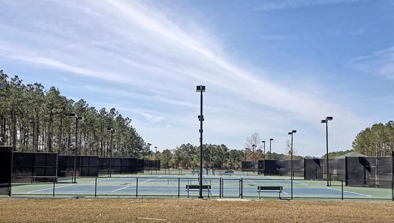 230 Lake Lily Dr - Photo 4 of 7