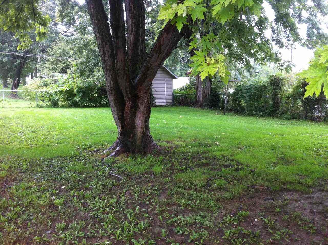 726 Waldrun Ave - Photo 3 of 12