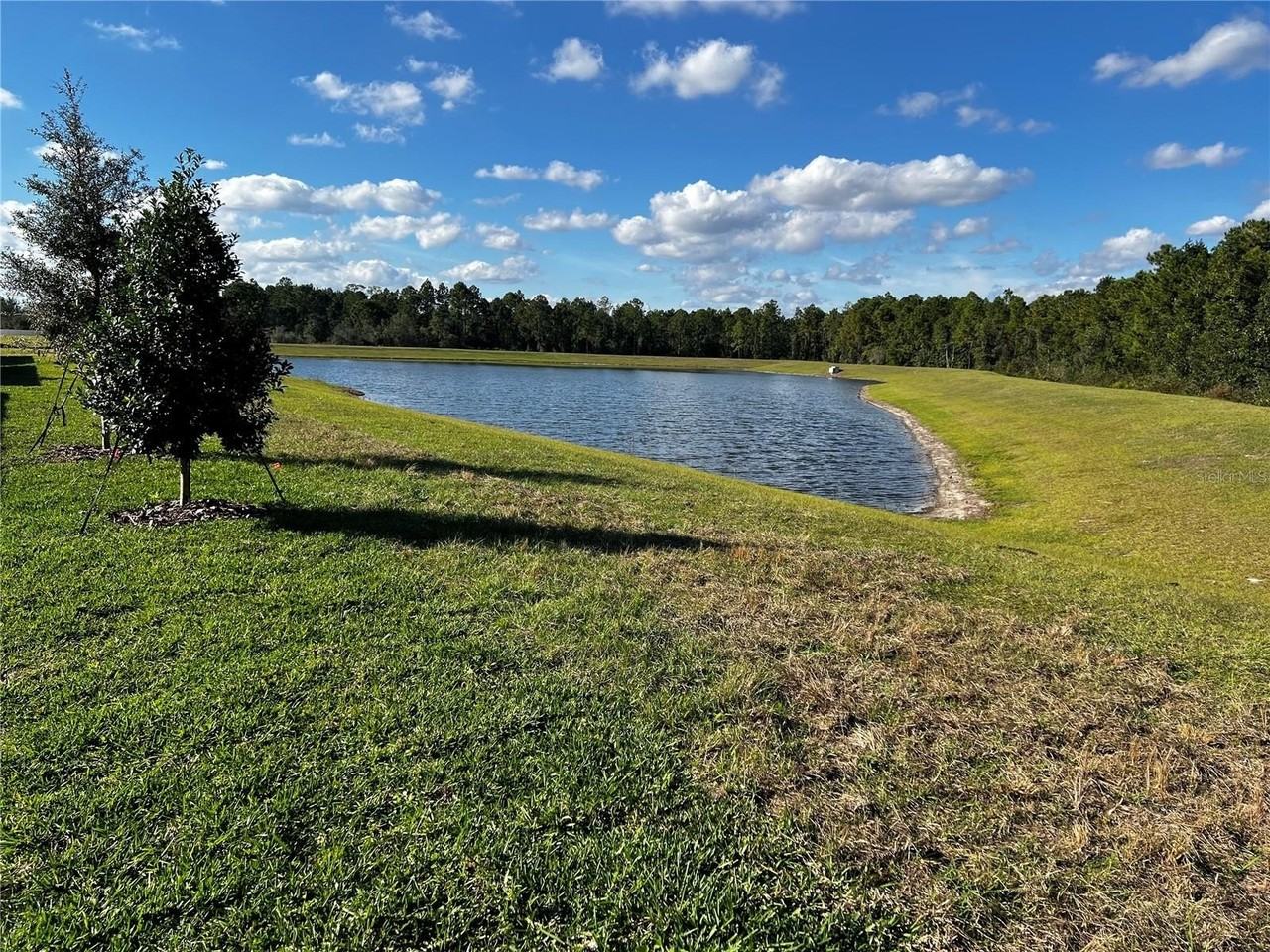 12893 Harvest Rain Ave - Photo 6 of 44