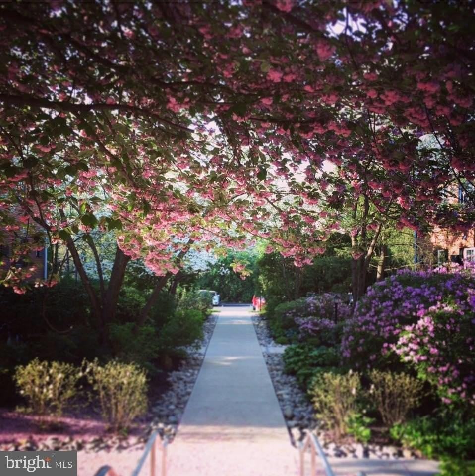 207 Walnut Hill Rd Unit 19 #19 - Photo 2 of 21