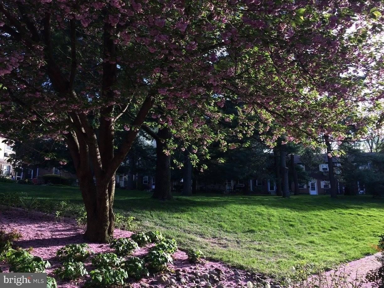 207 Walnut Hill Rd Unit 19 #19 - Photo 5 of 21