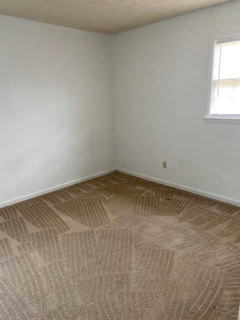 319 Pelham Creek Dr - Photo 6 of 7