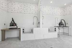 featured image of 14945 Sabiki Loop