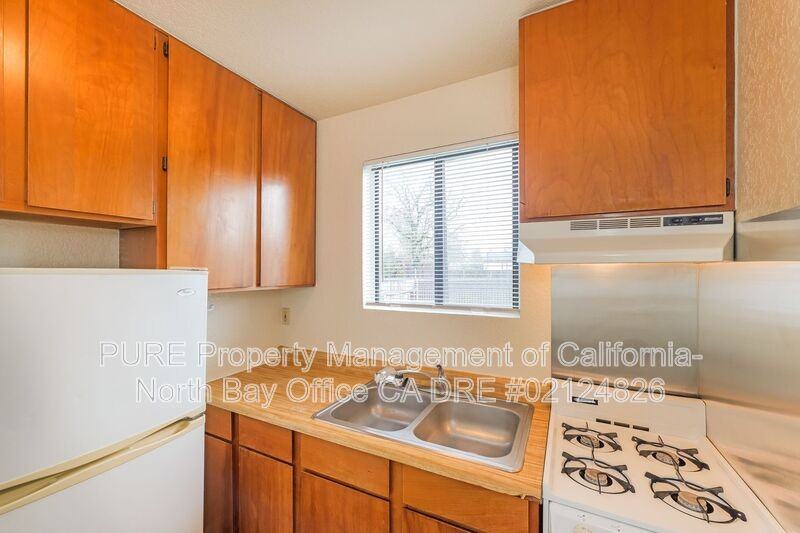 4911 Occidental Rd - Photo 6 of 19