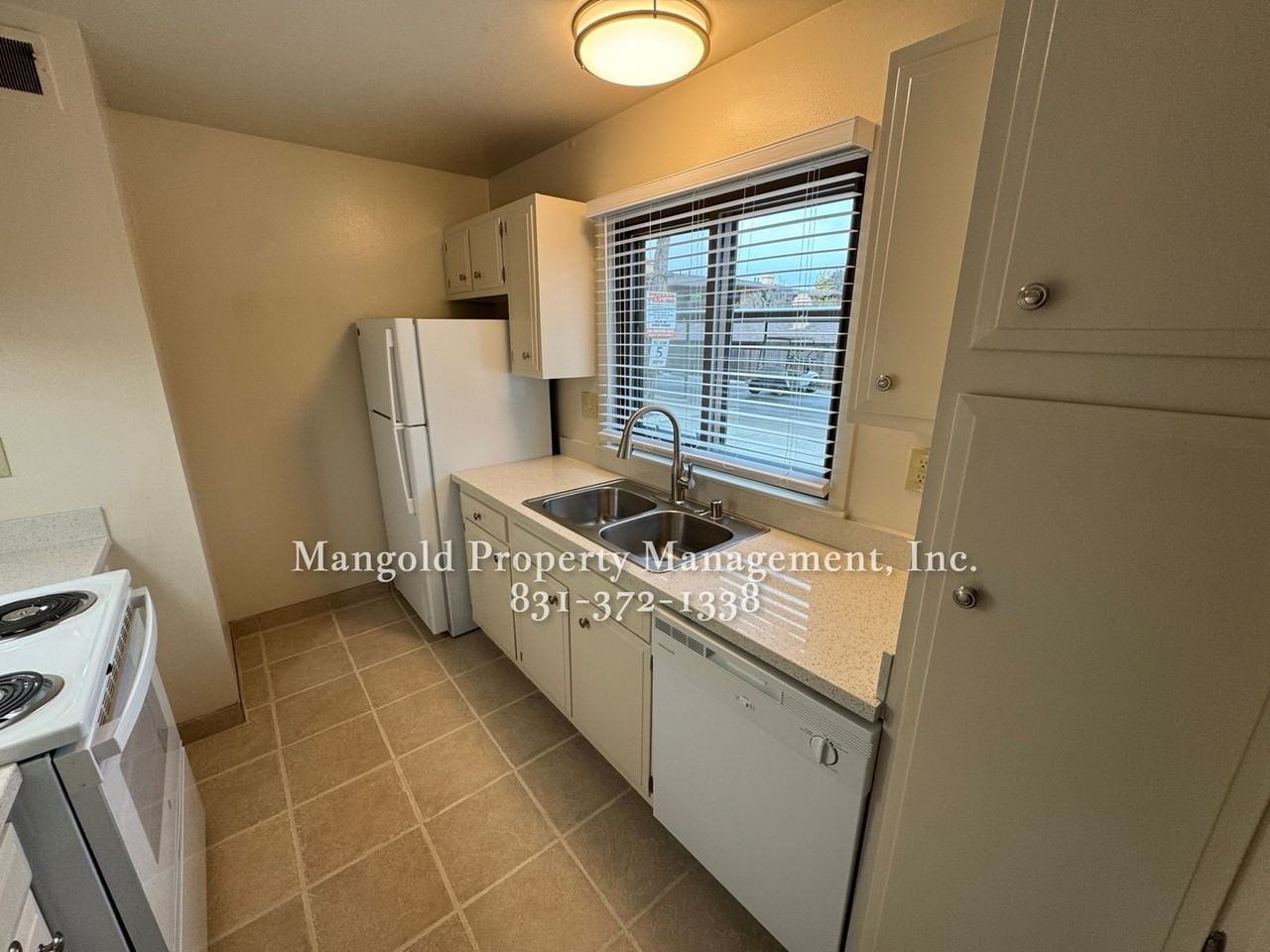 456dela - Photo 3 of 25