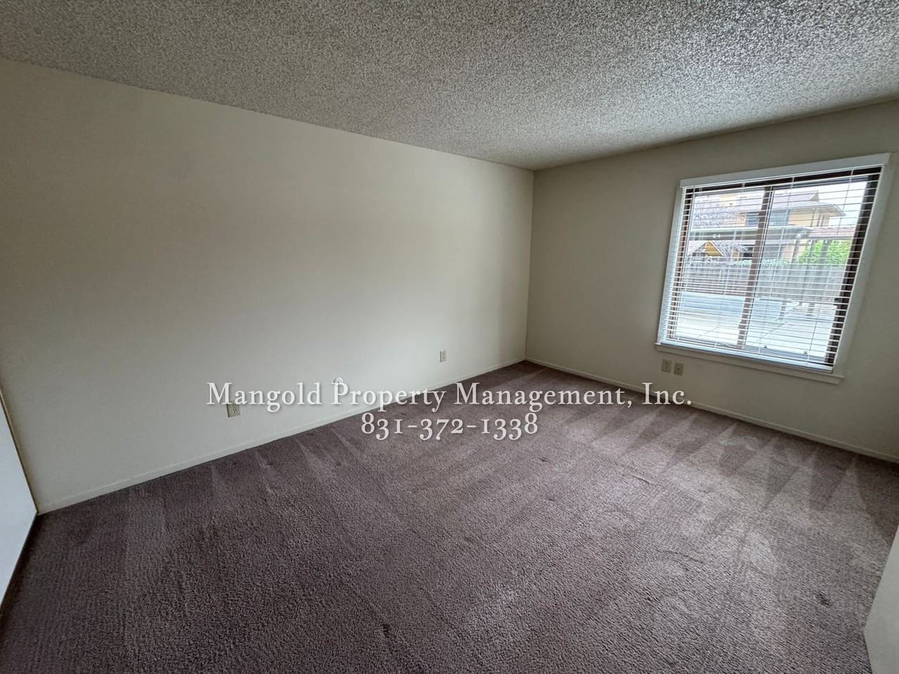 456dela - Photo 6 of 25