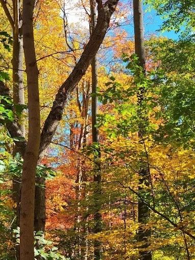 751 Sylvester Way - Bldg C - Photo 7 of 10