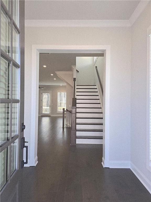 163 BASIL STREET Street - Photo 5 of 50