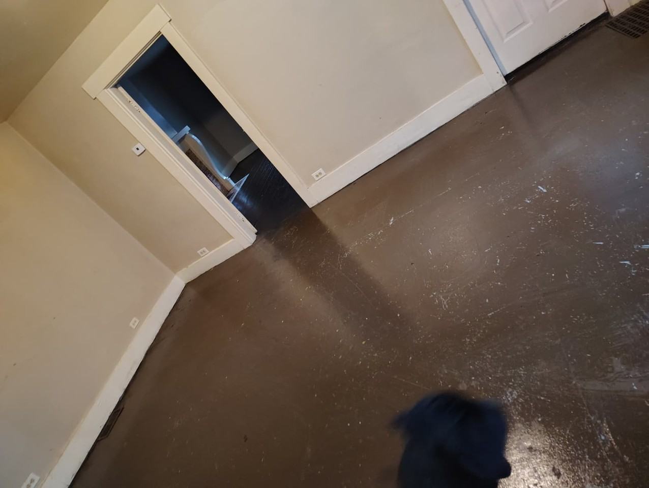 620 S 8th St - Photo 3 of 5