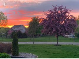 featured image of 9730 Gander Ln