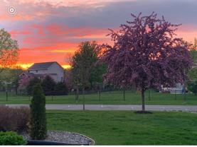 9730 Gander Ln - Photo 1 of 1