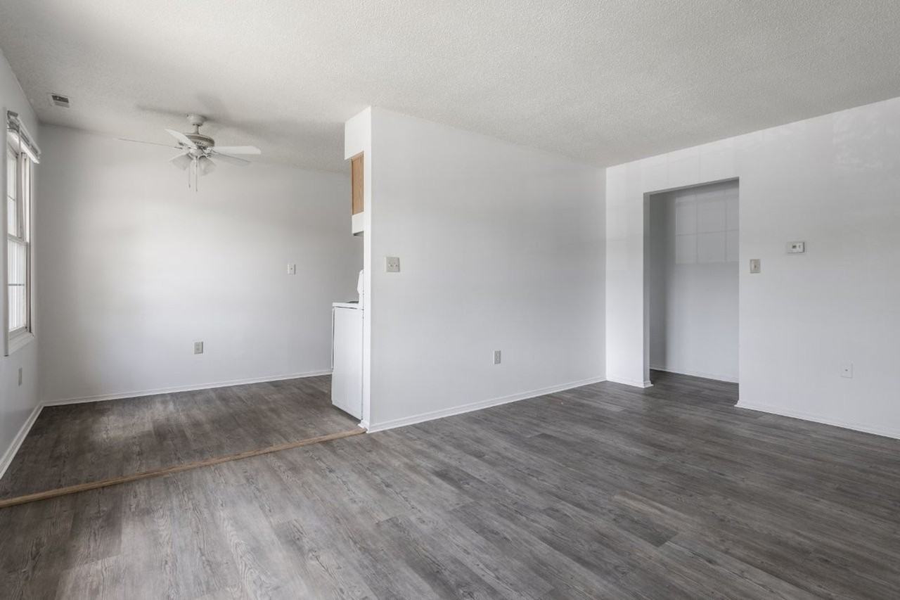 Ivy Green - Photo 4 of 25