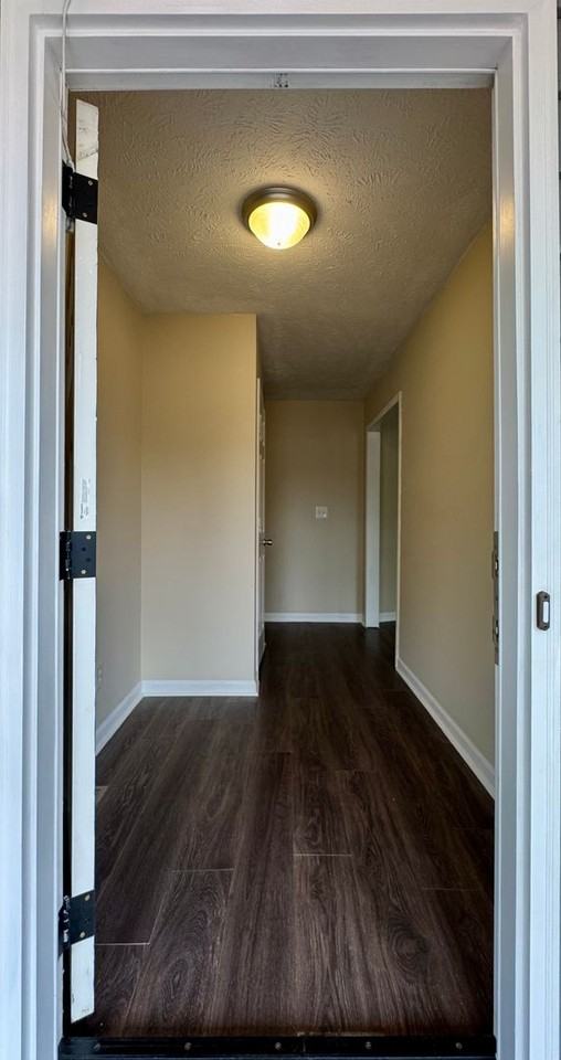 7031 Calamar Dr - Photo 2 of 23