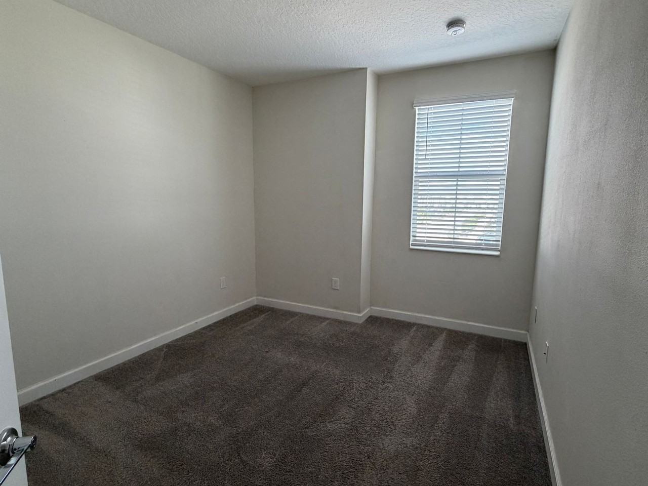 4620 Tribute Trl - Photo 7 of 14