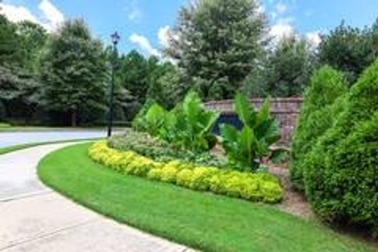 1547 Paxton Dr Sw - Photo 2 of 30