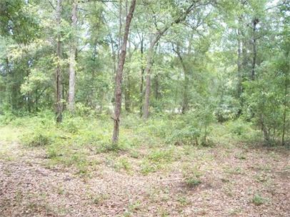 Wide Rd 8697 - 1 #1 - Photo 4 of 14