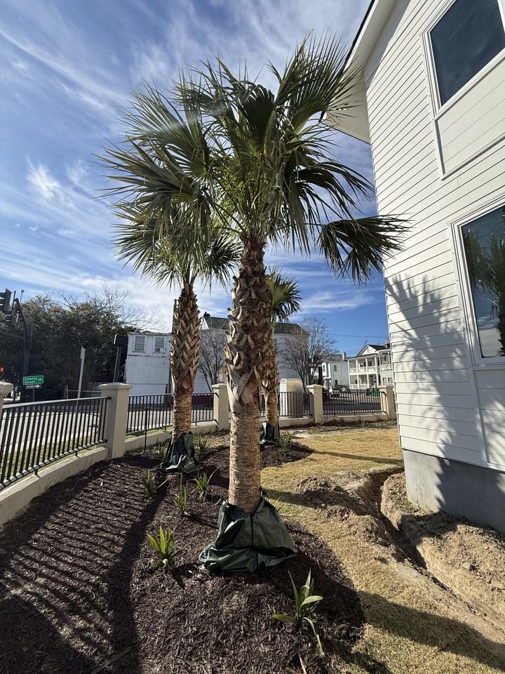 89 Fishburne St #1 - Photo 3 of 35