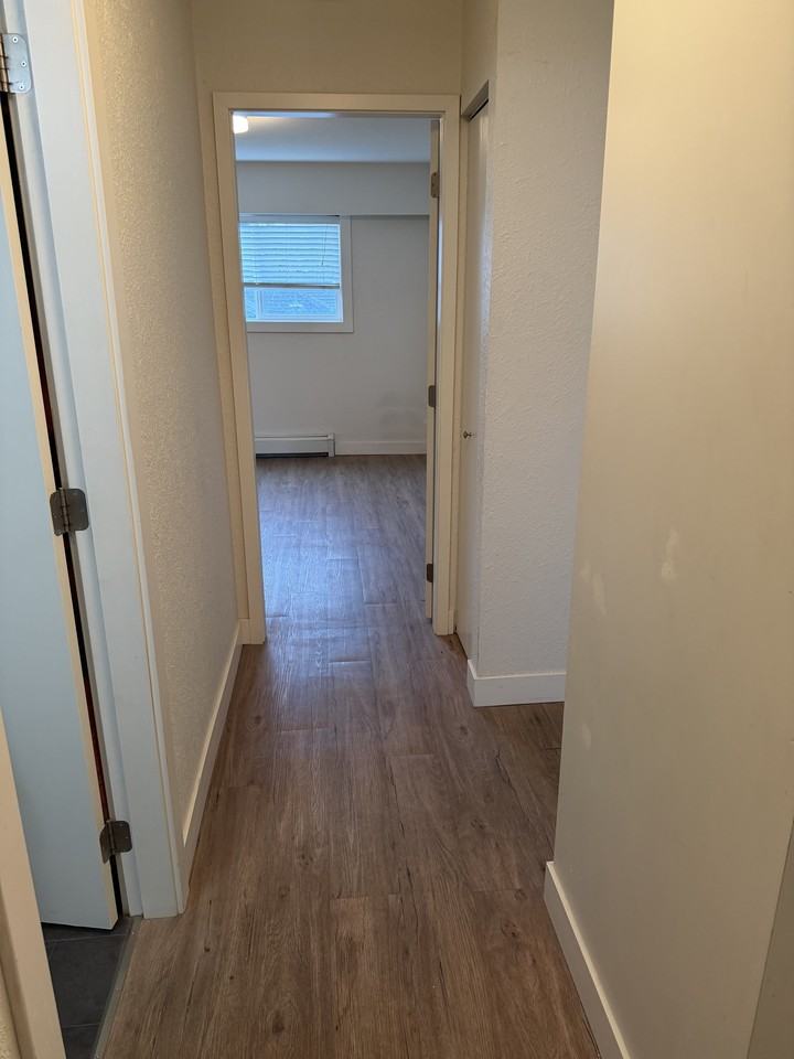 2626 Cook Stunit 203 #203 - Photo 4 of 9