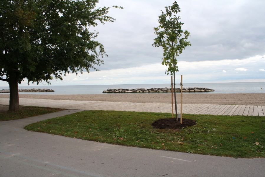 8 Avion Avenue - Photo 3 of 15