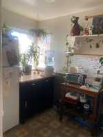 featured image of 1778 Bacon St