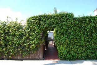 4152-64 33rd - Photo 1 of 1