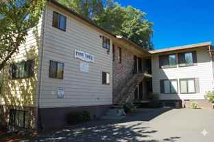 Pine Tree - Photo 1 of 1