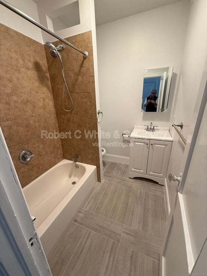 355 Greenwich Ave #2B - Photo 4 of 4