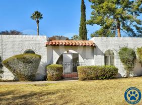 747 W Las Lomitas Rd - Photo 1 of 1