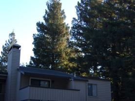 7134 Gloria Dr - Photo 1 of 1