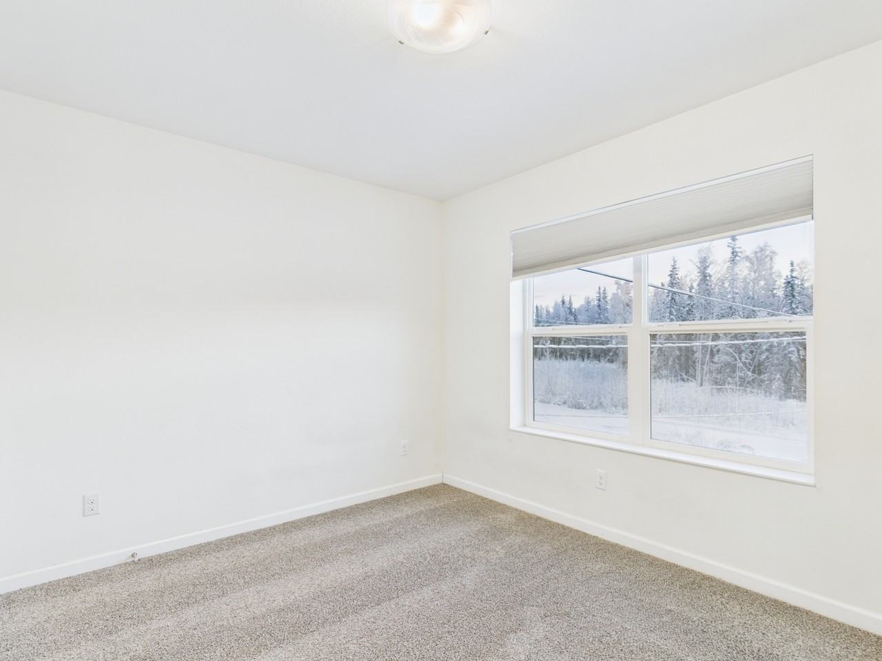 3905 Tanada Rd - Photo 3 of 28