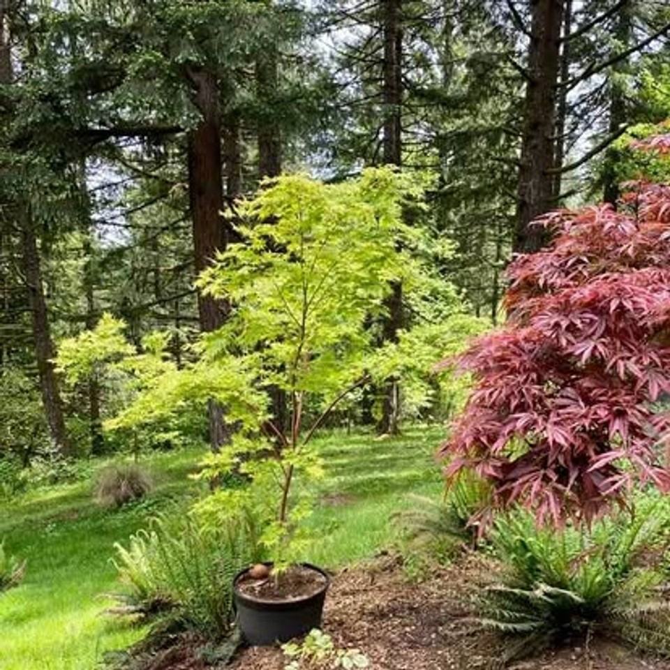 16540 Nw Orchard View Rd #B - Photo 6 of 15