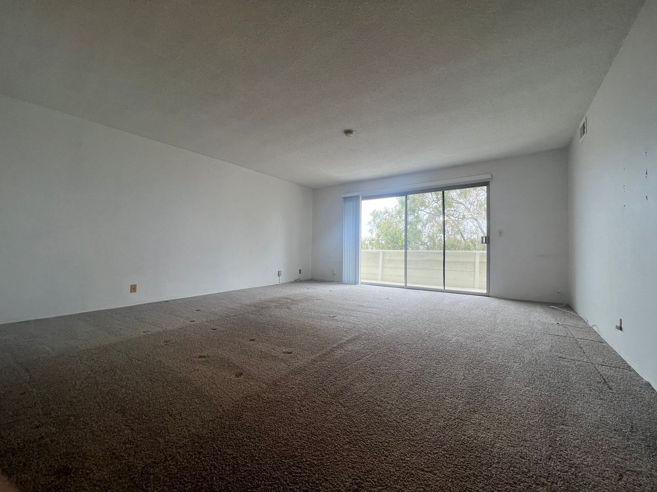 2225 Glenneyre St #I - Photo 5 of 14