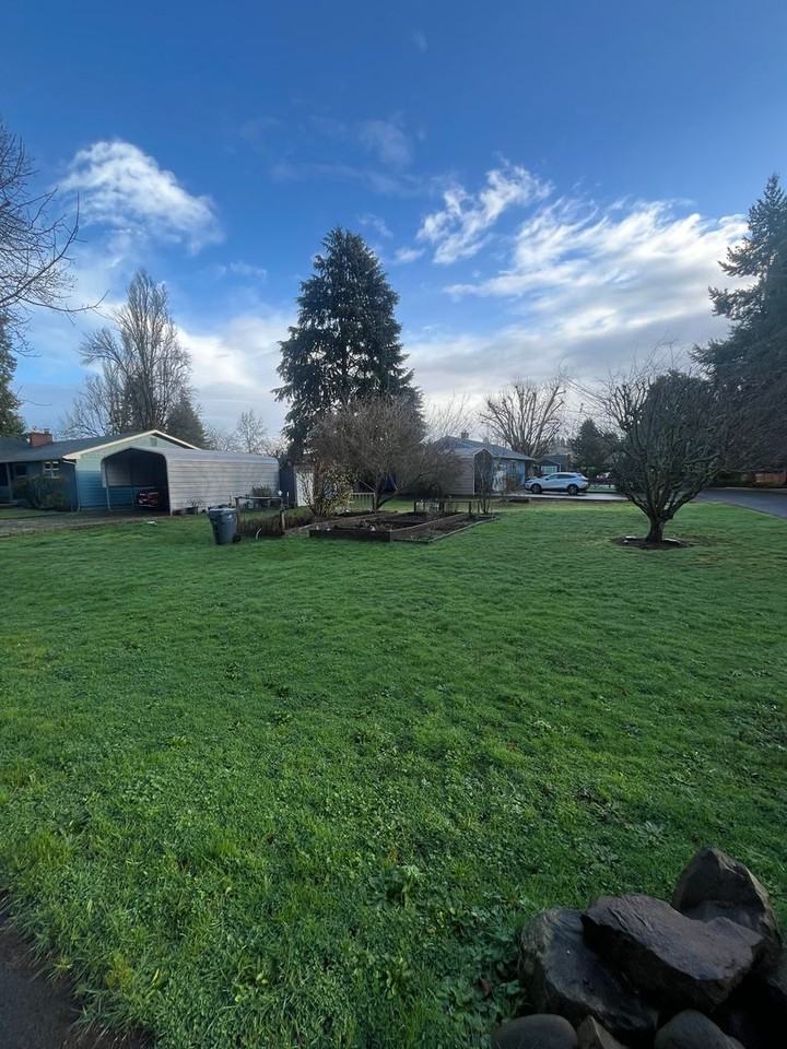 1315 Golden Ave - Photo 3 of 20