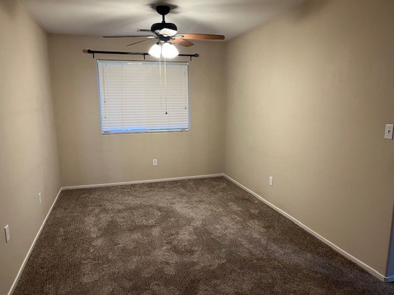 12313 Quiet Pasture Dr - Photo 5 of 12