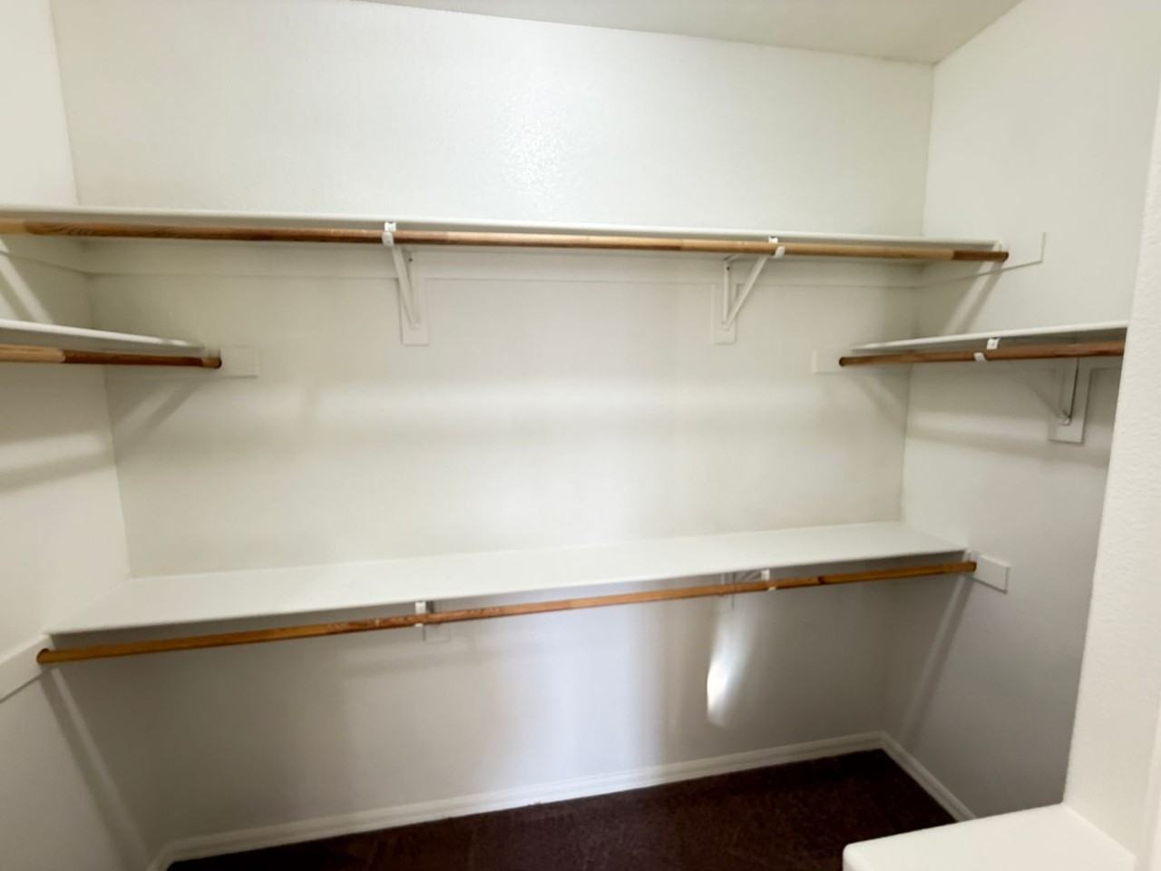 11428 Belmont Lake Dr #104 - Photo 7 of 14