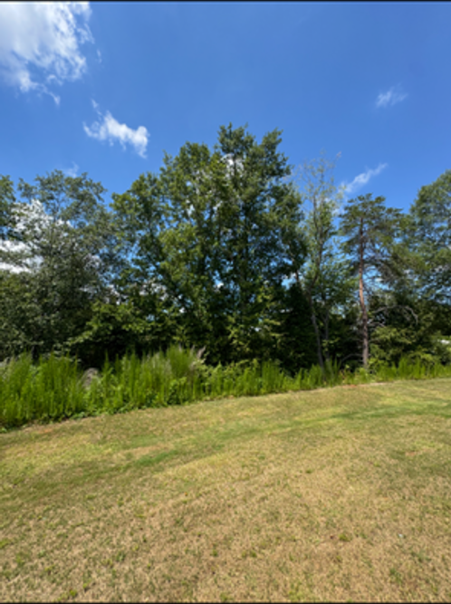 711 Burbrook Ln - Photo 4 of 19