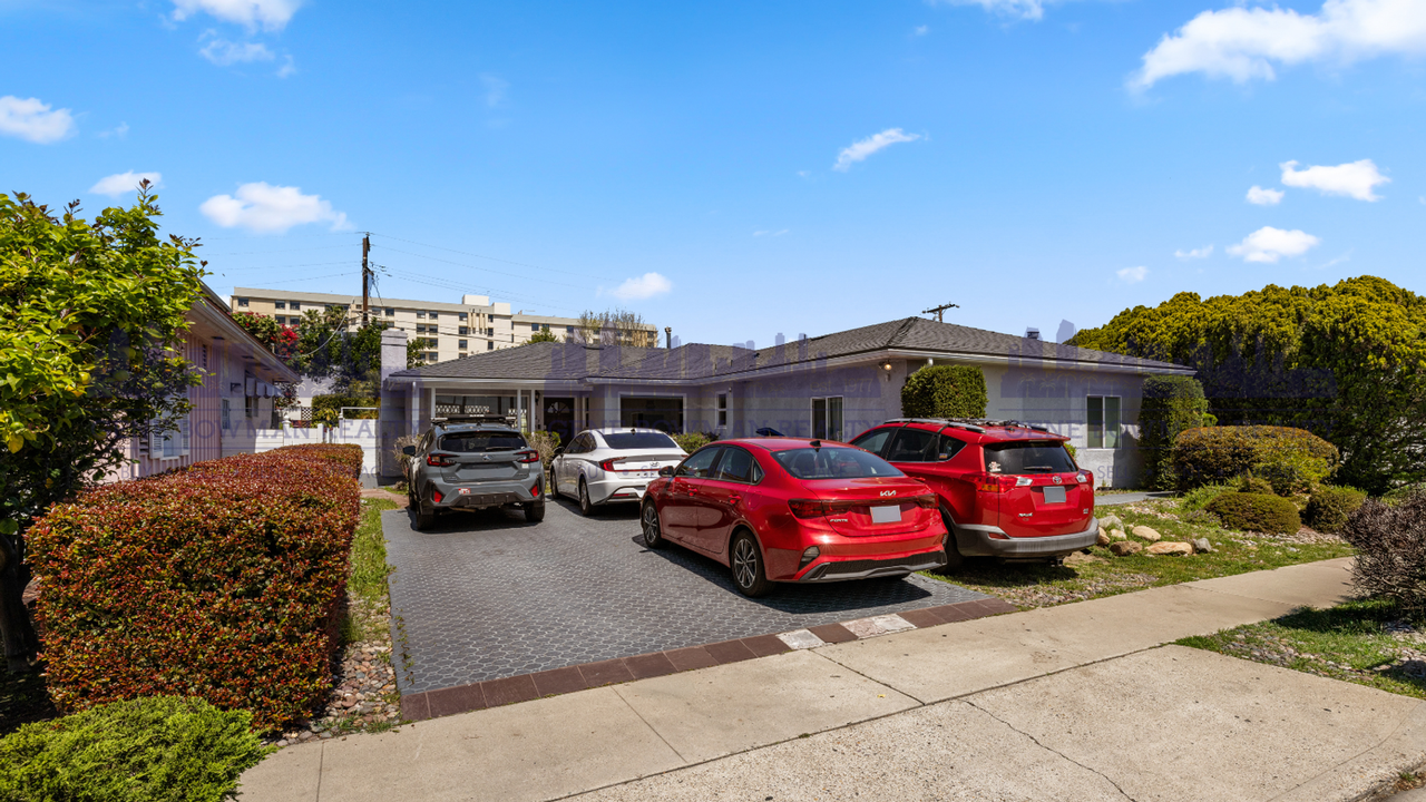 Dorothy - Photo 5 of 31