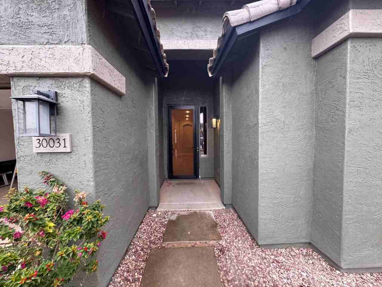 30031 N Little Leaf Dr - Photo 3 of 28