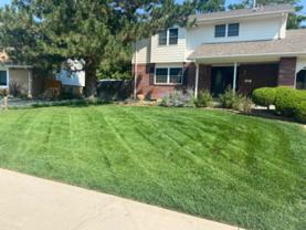 1000 Flint Way - Photo 1 of 1