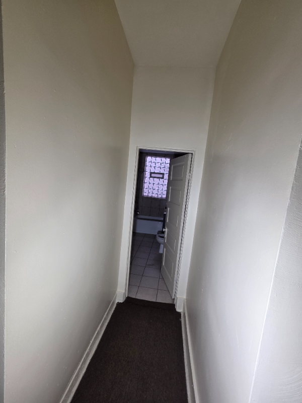 6529 S Kimbark Ave #3R - Photo 4 of 21