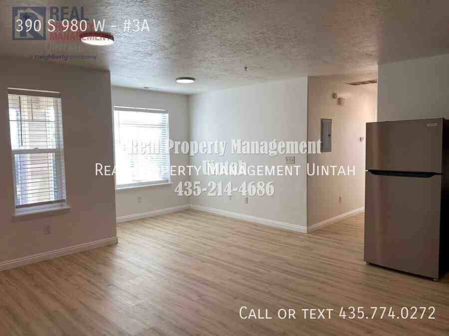 390 S 980 W #3A - Photo 5 of 18